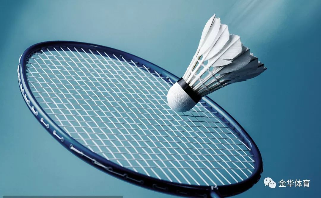 这种理念的 这种理念的